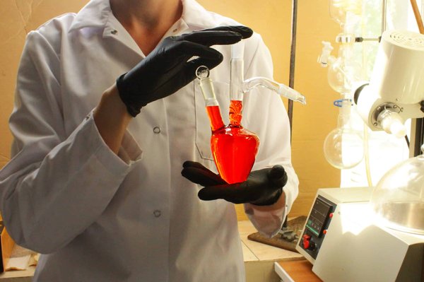 What Role Do Synthetic Genomes Play in Advancing Personalized Medicine?