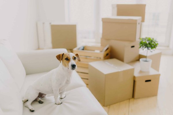 How to Incorporate Wool for Year-Round Styles?